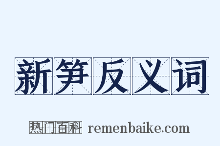 新笋反义词是什么意思的图片